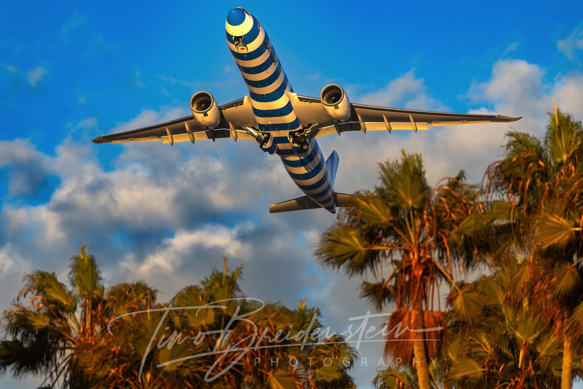 20251009 822A8546 Kopie